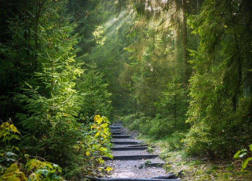 Spring Awakens: Gear Up & Get Outside with LowCooly!-LowCool Brands