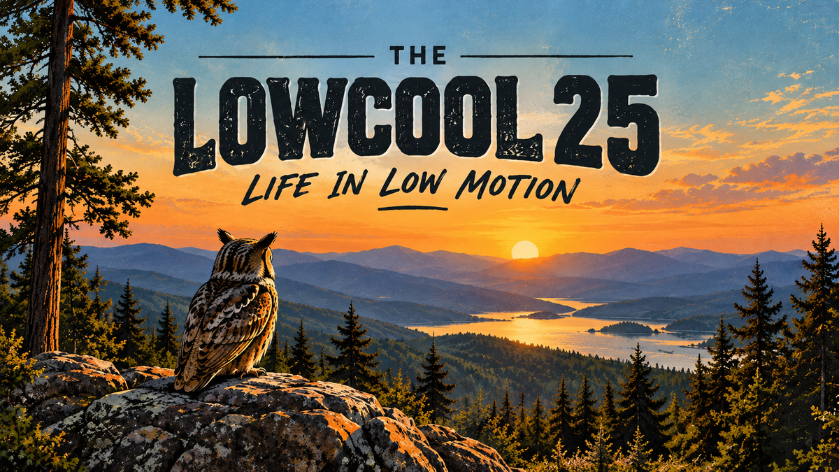 The LowCool 25